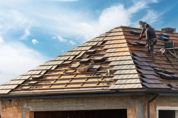 Best Metal Roofing Installation  in Winchester, IL